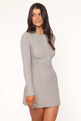 Darlina Long Sleeve Mini Dress - Heather Grey