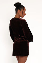 Twylar Long Sleeve Velvet Mini Dress - Brown